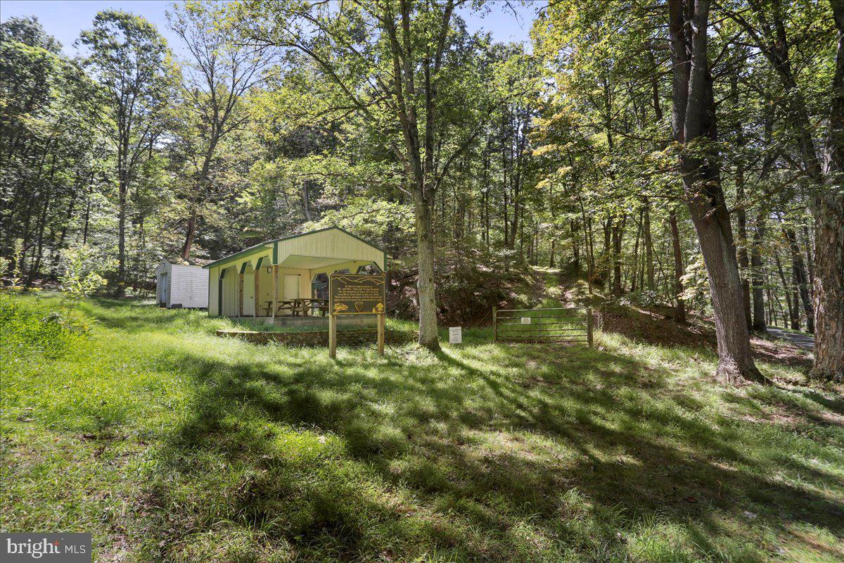 1956 Dove Hollow Road Mathias, WV 26812 - Photo 79 of 113 a backyard of a house with lots of green space