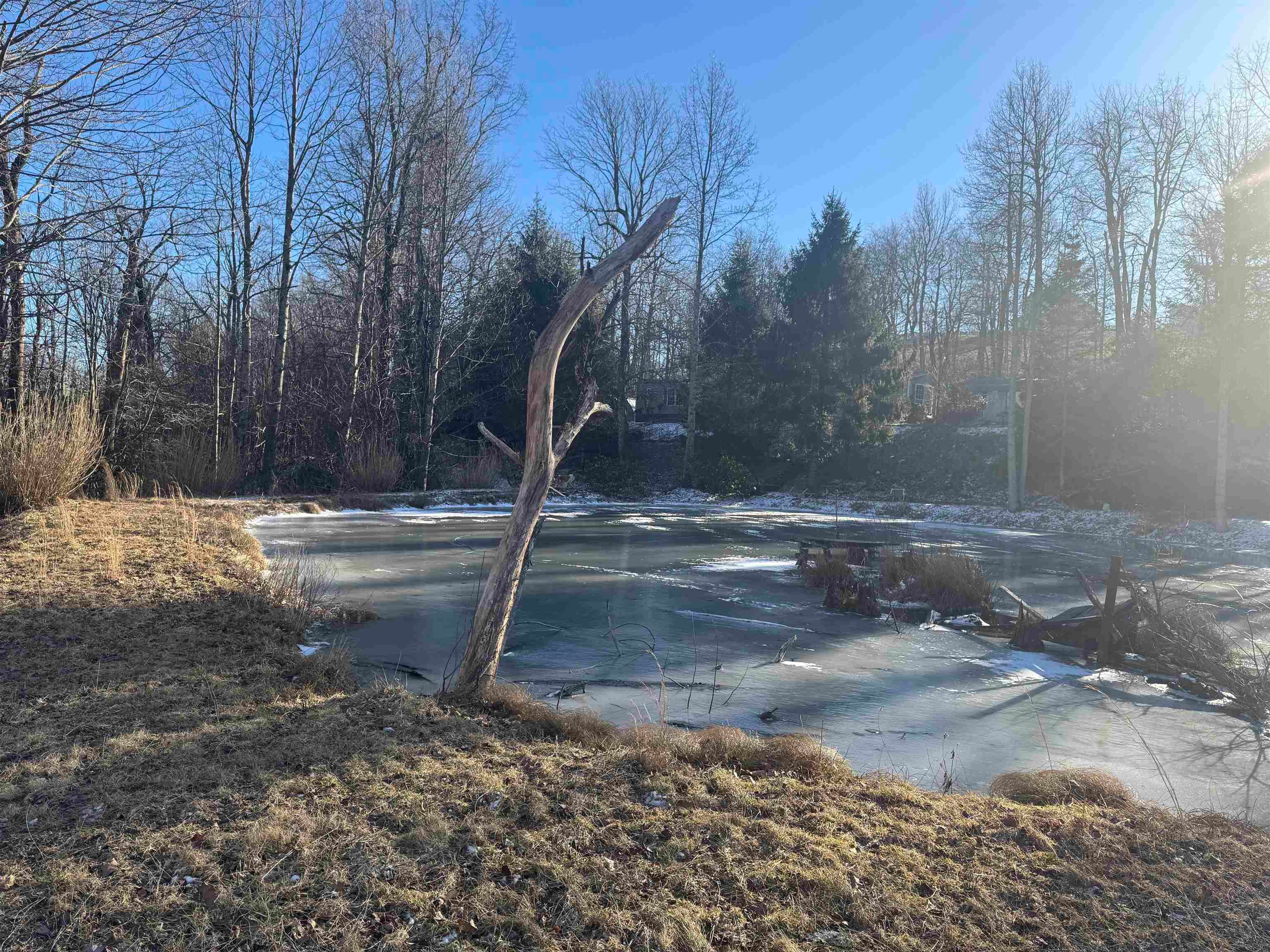3667 Helms Road Meadows Of Dan, VA 24120 - Photo 23 of 25 Gallery Image 23