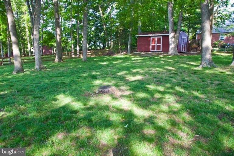 9824 Gunforge Road Perry Hall, MD 21128 - Photo 3 of 20 Large treed area for fun and privacy.Shed.