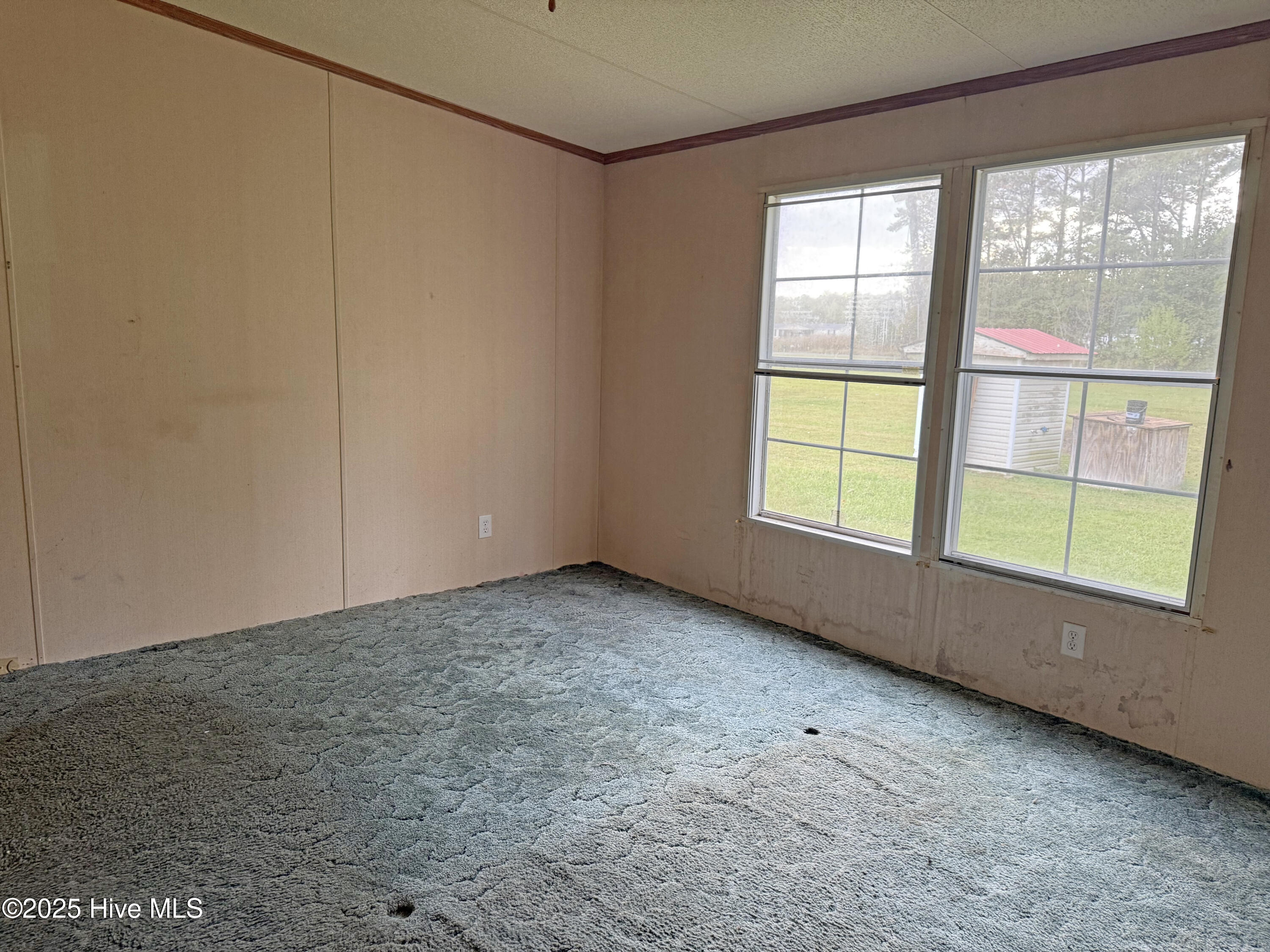 1335 Free Union Road Jamesville, NC 27846 - Photo 9 of 24 Photo Oct 01 2025, 4 40 08 PM