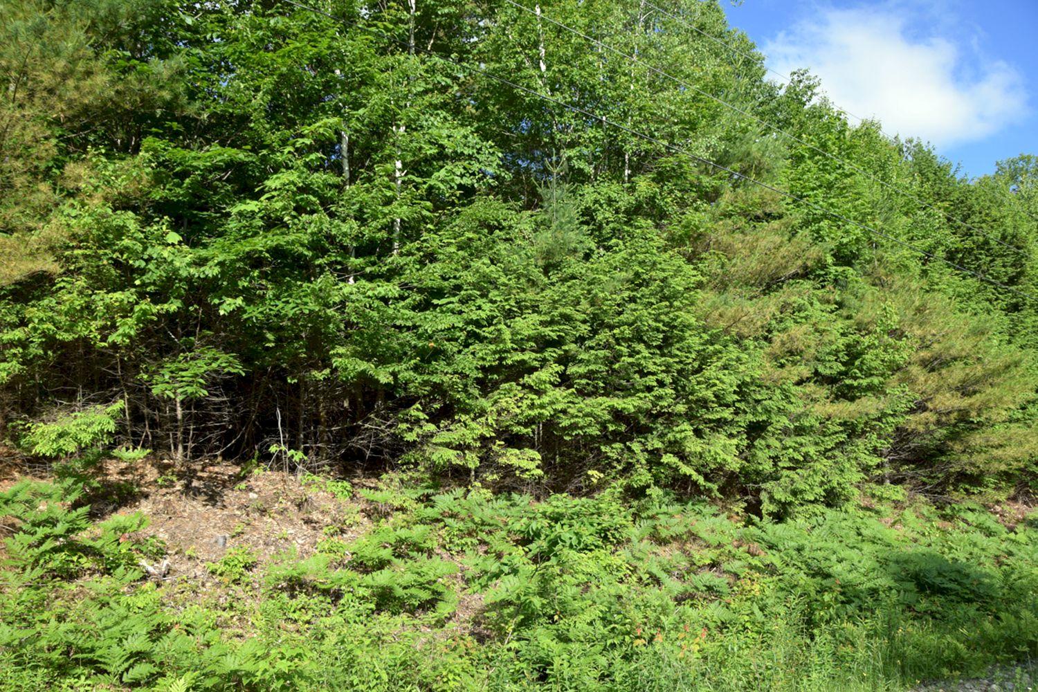M7-l1-2 Pine Bluff Road Embden, ME 04958 - Photo 2 of 7 DSC_0182
