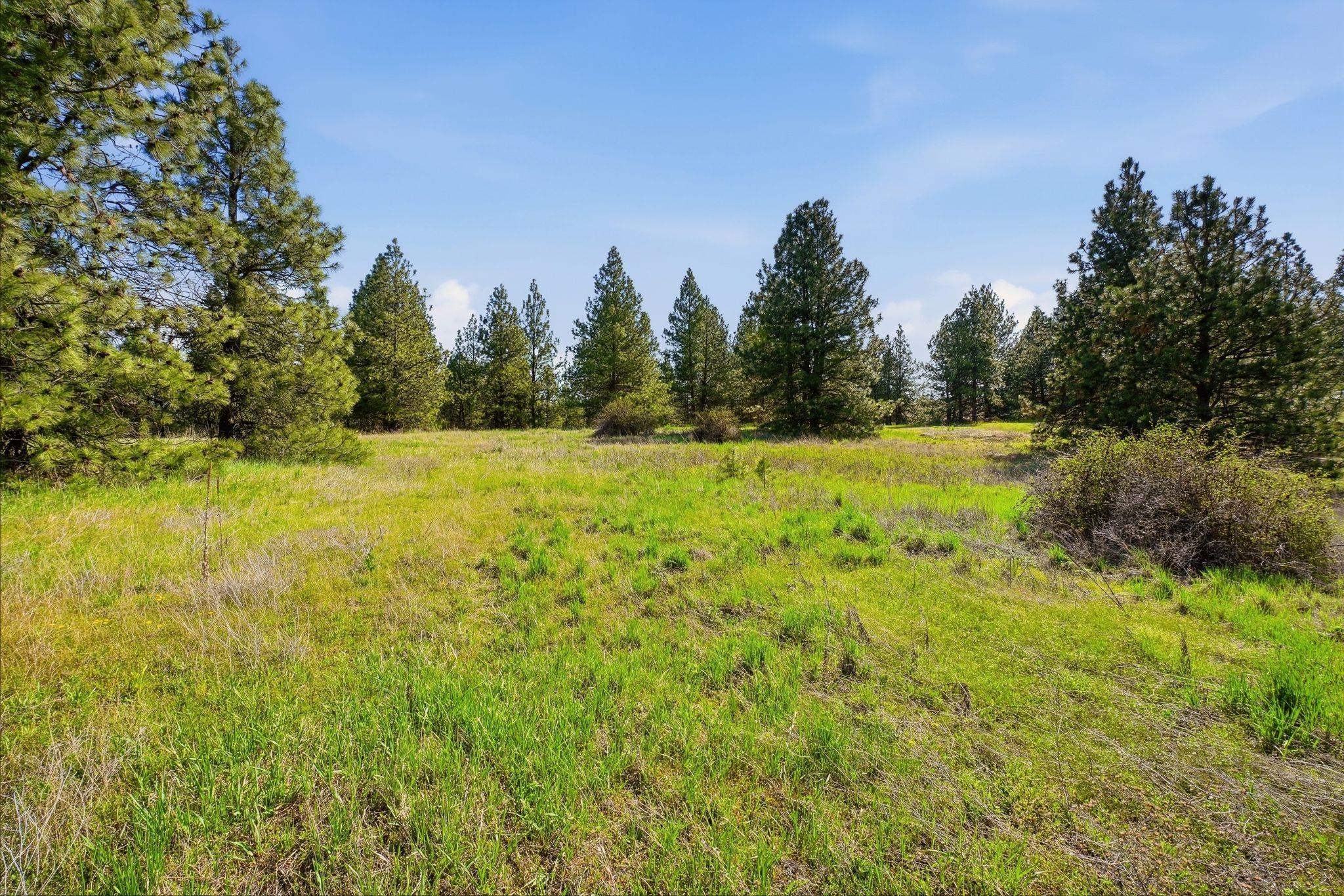 -unknown West Orchard Heights Road Cheney, WA 99004 - Photo 2 of 10