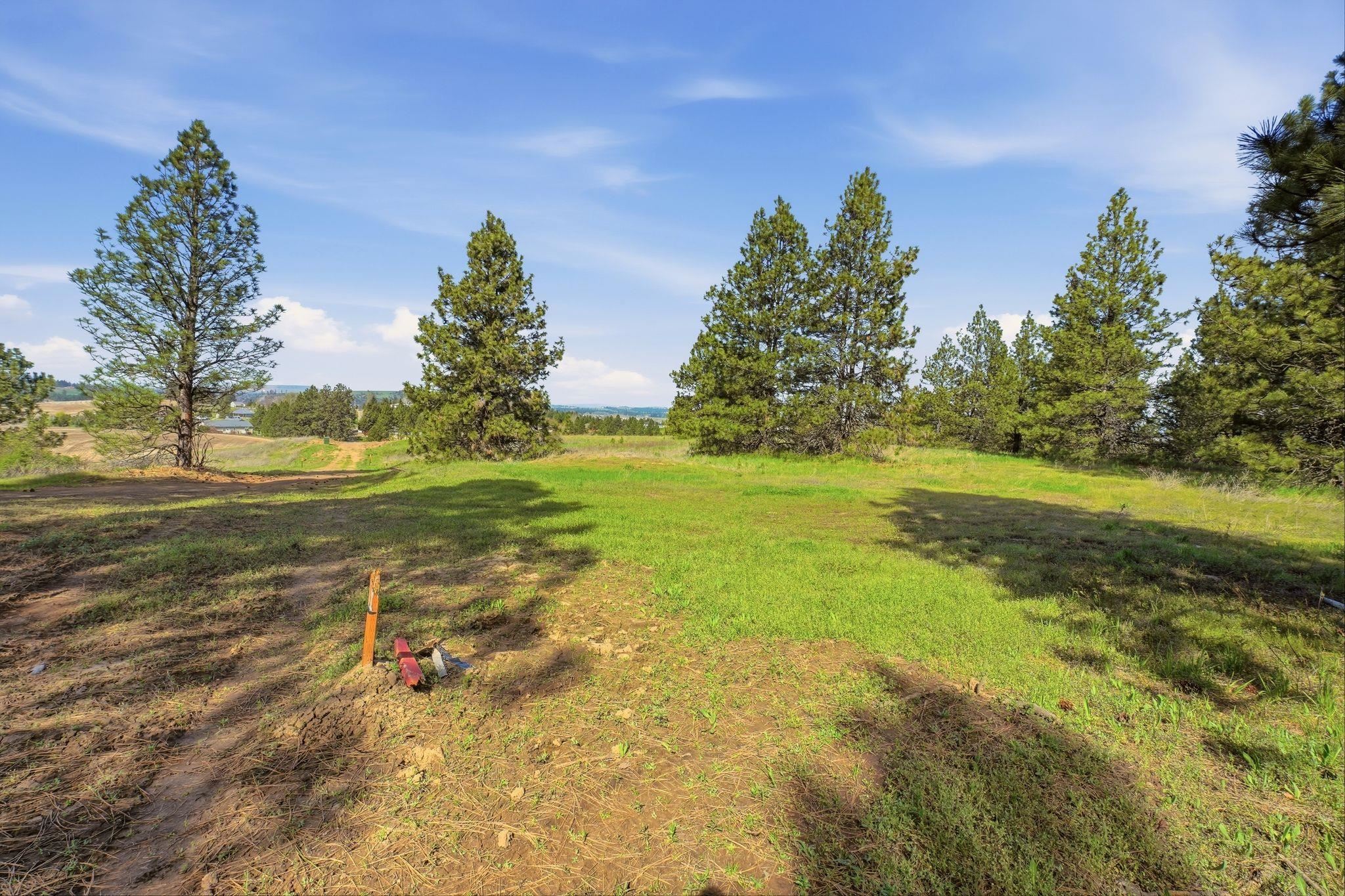 -unknown West Orchard Heights Road Cheney, WA 99004 - Photo 3 of 10