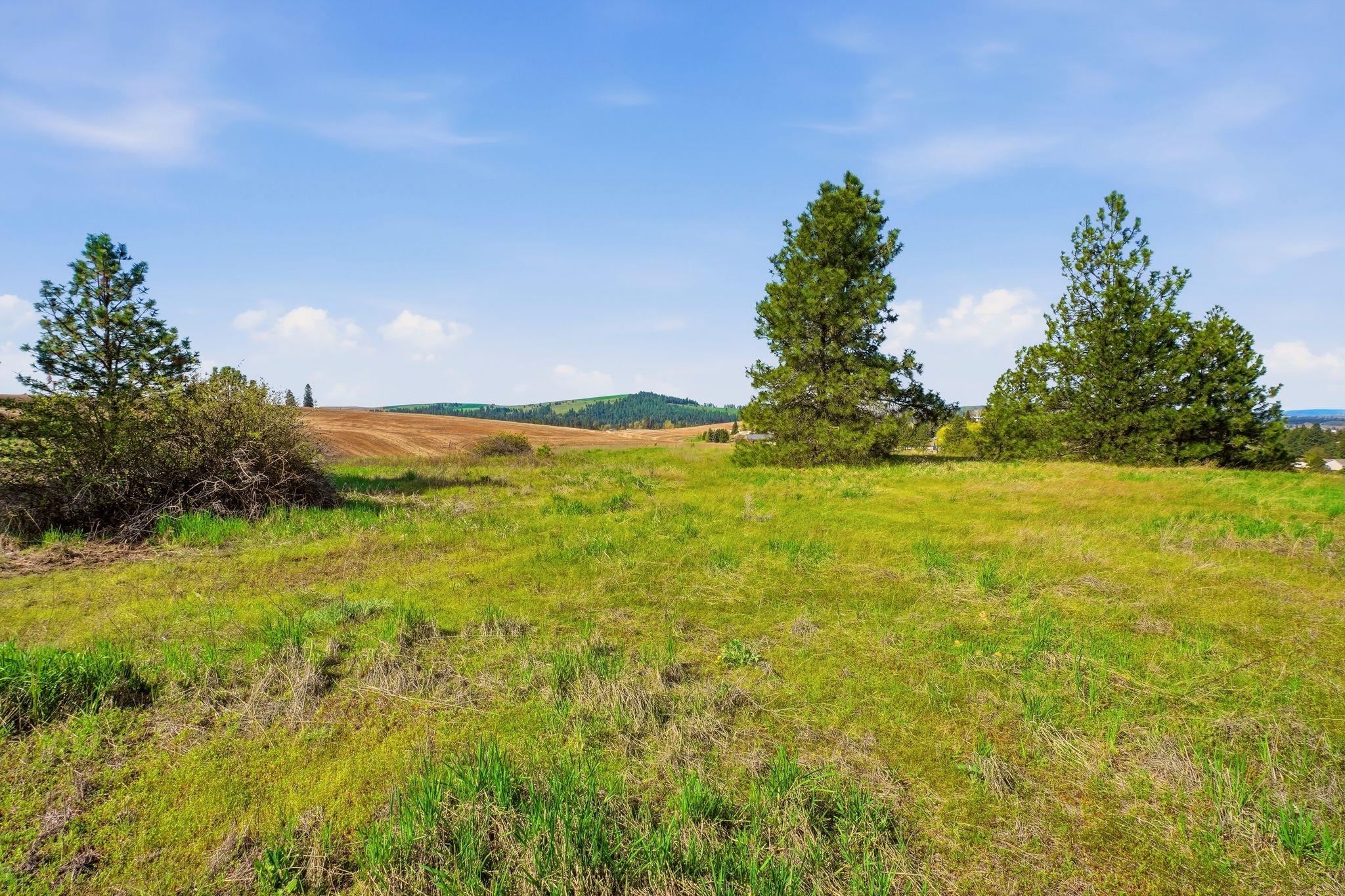 -unknown West Orchard Heights Road Cheney, WA 99004 - Photo 4 of 10