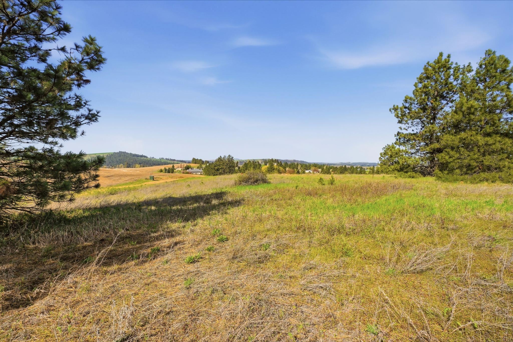 -unknown West Orchard Heights Road Cheney, WA 99004 - Photo 5 of 10