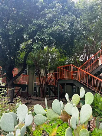 $1,175 | 808 Winflo Drive, Unit 203, Austin, TX 78703