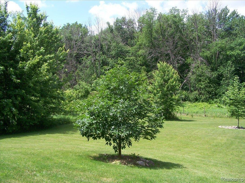 2530 South Bull Run Road Fowlerville, MI 48836 - Photo 18 of 20 VIEW OF BACK ACREAGE II