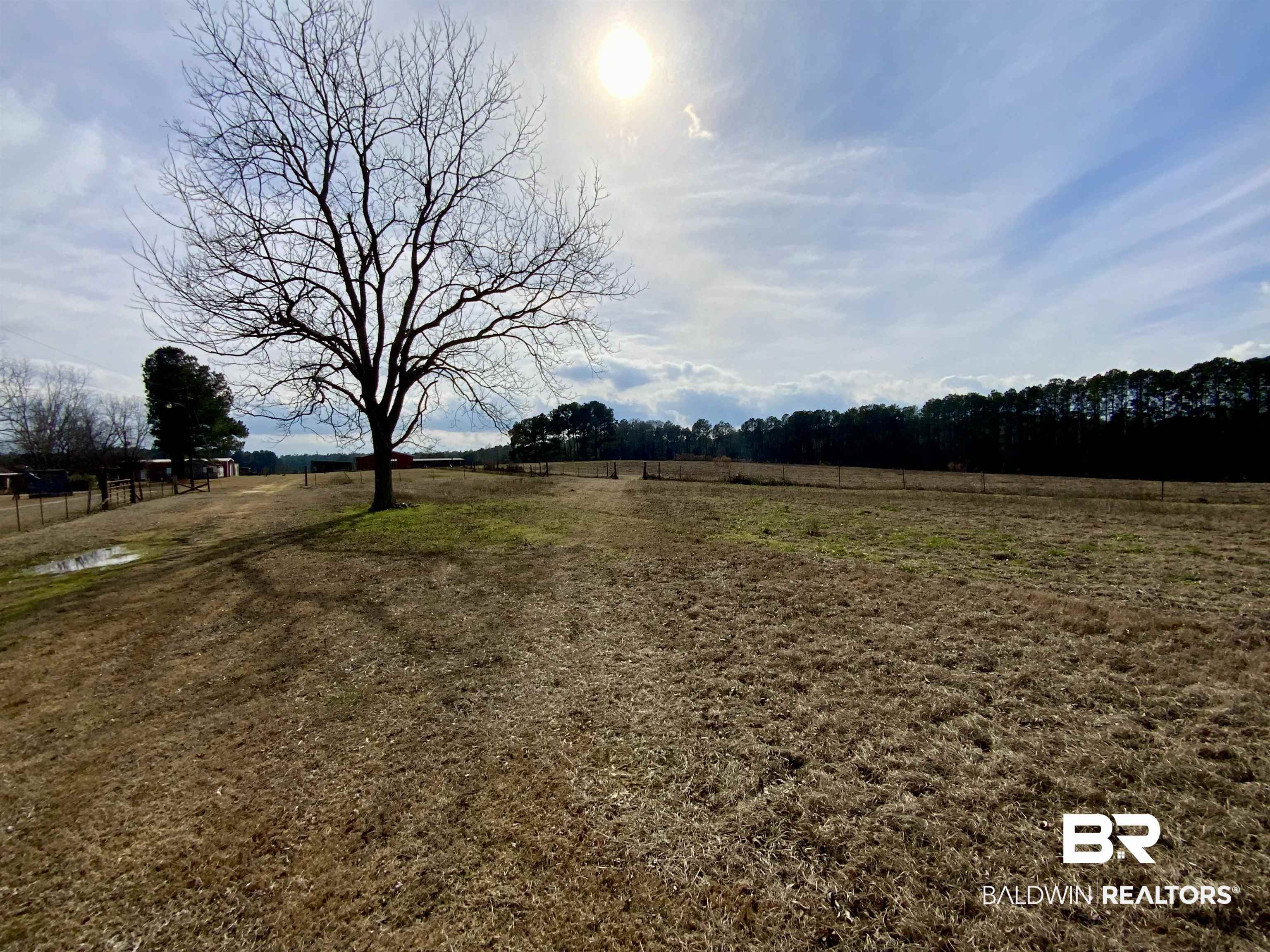 19800 Hoyle Bryars Road Perdido, AL 36562 - Photo 15 of 28 Expansive open field featuring a mature deciduous tree