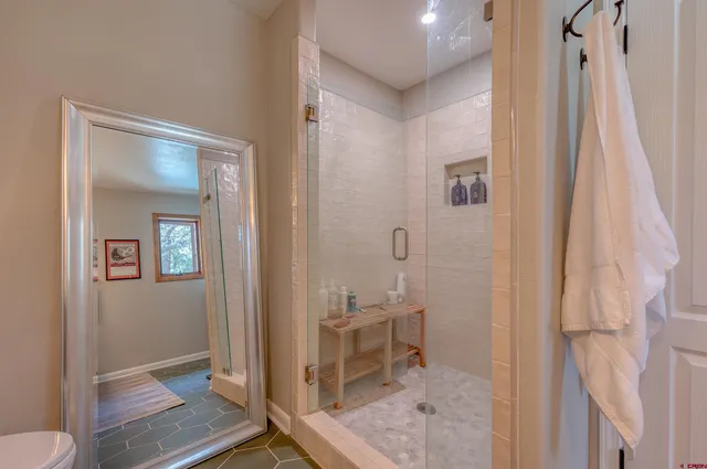 a bathroom with a shower and a toilet