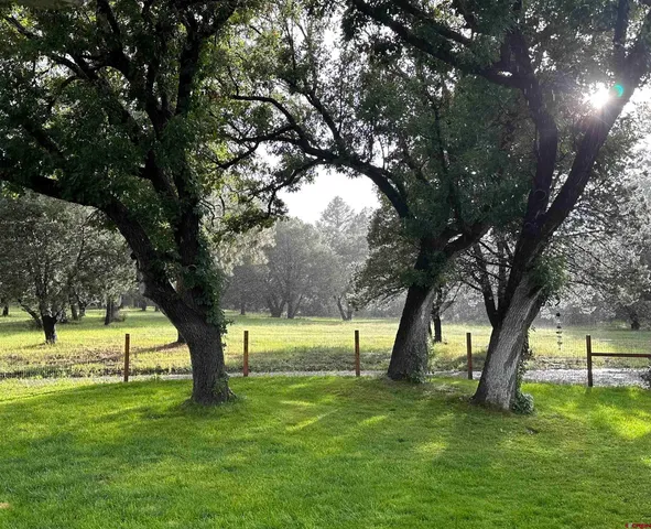 a view of outdoor space with a garden