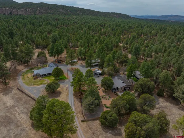 an aerial view of residential house with green space