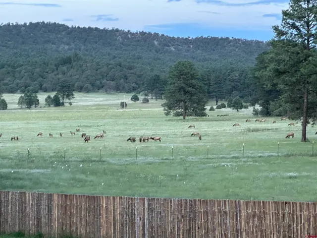 a view of a green field