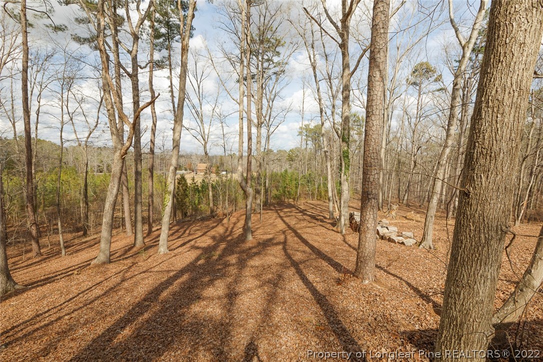 1000 Cotten Road Sanford, NC 27330 - Photo 22 of 23 Gallery Image 22