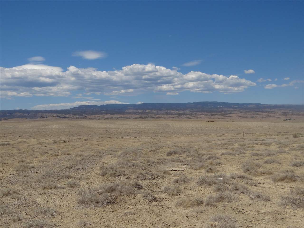 2995 Reeder Mesa Road Whitewater, CO 81527 - Photo 2 of 2 Gallery Image 2