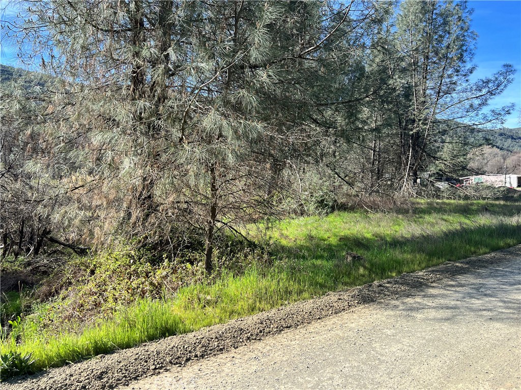 2286 New Long Valley Road Clearlake Oaks, CA 95423 - Photo 17 of 27 a view of a pathway both side of grassy field with trees