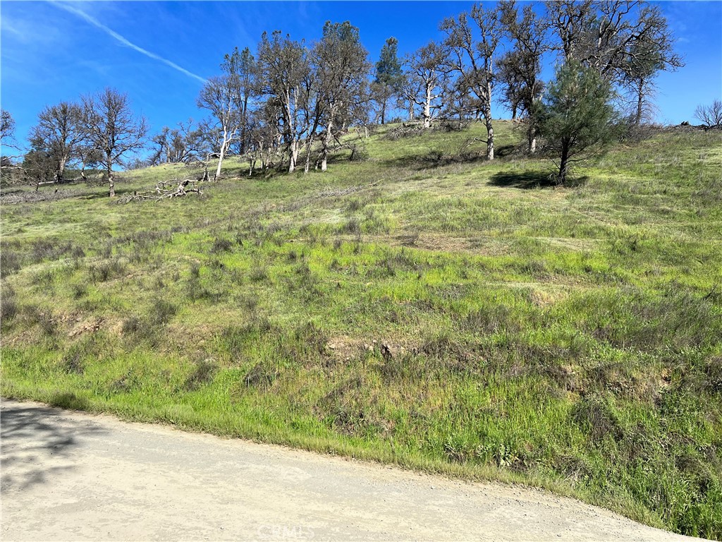 2286 New Long Valley Road Clearlake Oaks, CA 95423 - Photo 18 of 27 a view of a yard with a tree