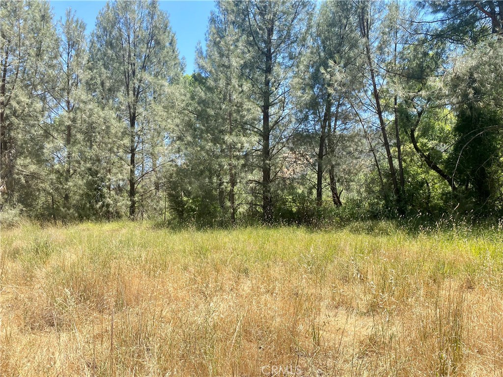2286 New Long Valley Road Clearlake Oaks, CA 95423 - Photo 23 of 27 a view of a lake view