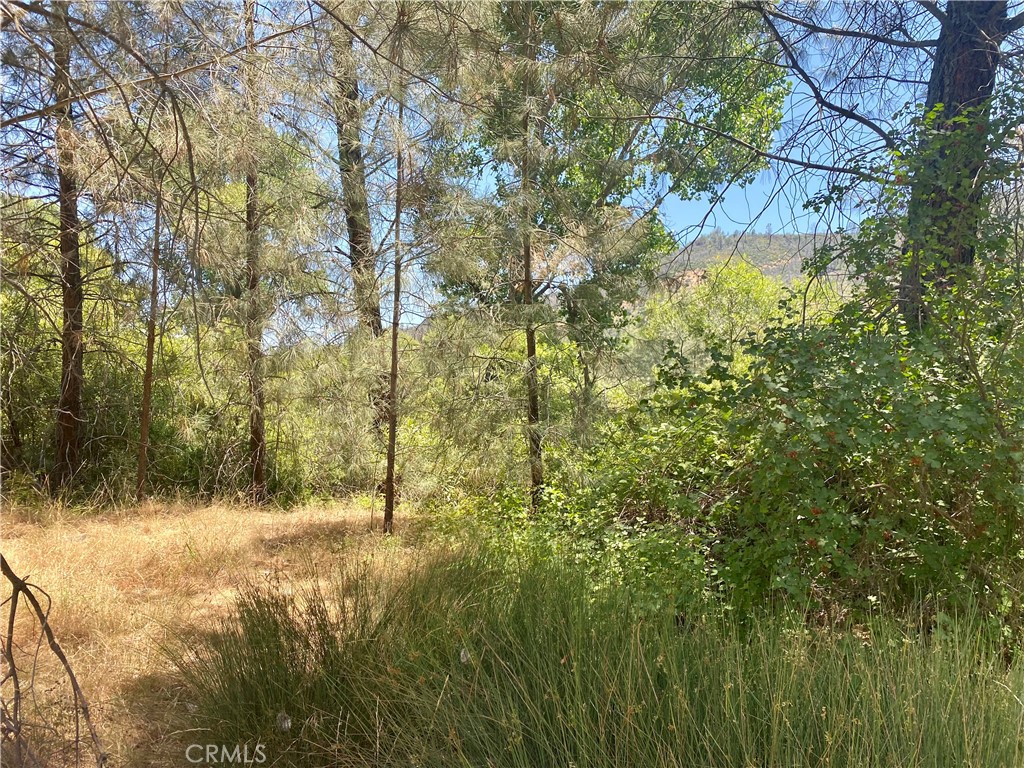 2286 New Long Valley Road Clearlake Oaks, CA 95423 - Photo 26 of 27 a view of outdoor space and trees