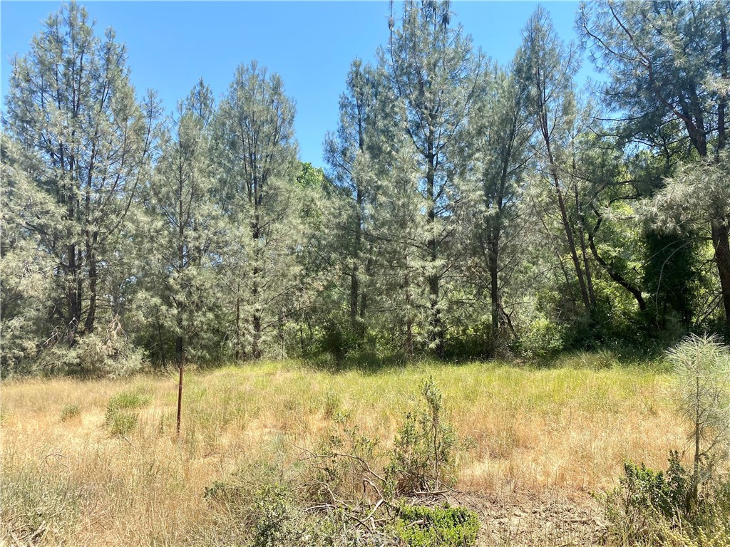 2286 New Long Valley Road Clearlake Oaks, CA 95423 - Photo 27 of 27 a view of a lake view