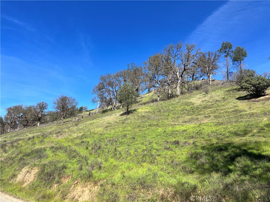 2286 New Long Valley Road Clearlake Oaks, CA 95423 - Photo 3 of 27 a view of a yard with a tree