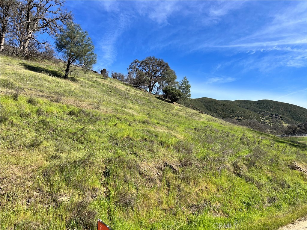 2286 New Long Valley Road Clearlake Oaks, CA 95423 - Photo 4 of 27 a view of a yard with a tree