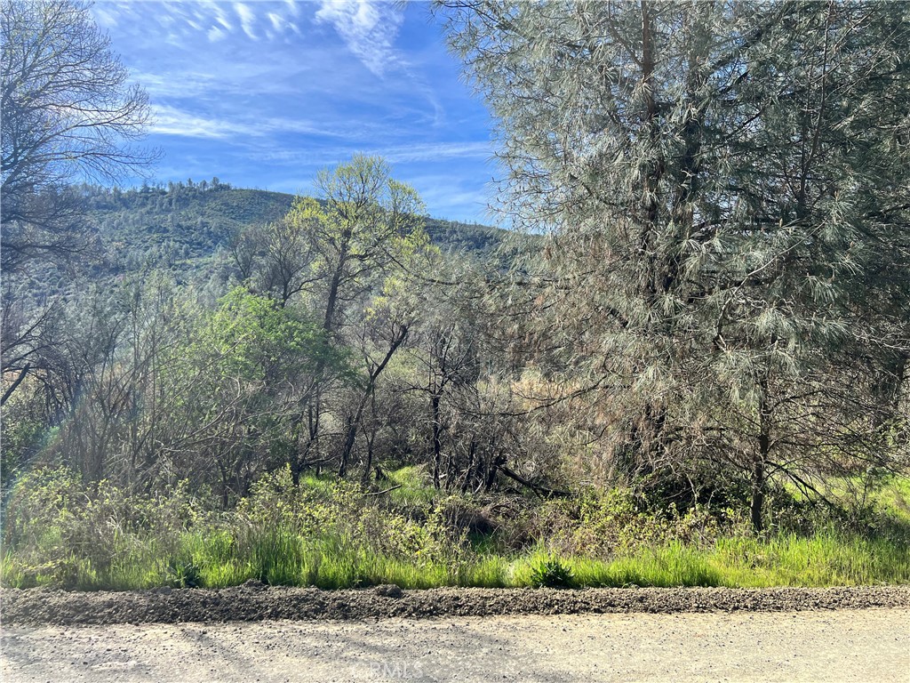 2286 New Long Valley Road Clearlake Oaks, CA 95423 - Photo 5 of 27 a view of a yard with a tree
