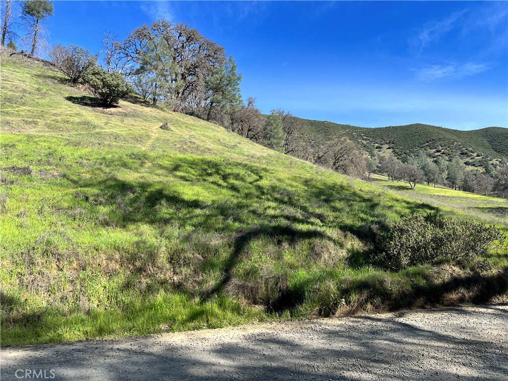 2286 New Long Valley Road Clearlake Oaks, CA 95423 - Photo 6 of 27 a view of a yard with a house