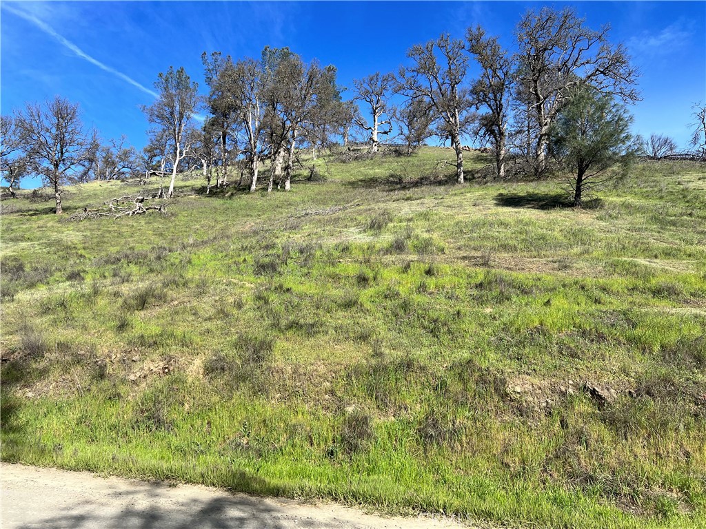 2286 New Long Valley Road Clearlake Oaks, CA 95423 - Photo 8 of 27 a view of a yard with a tree