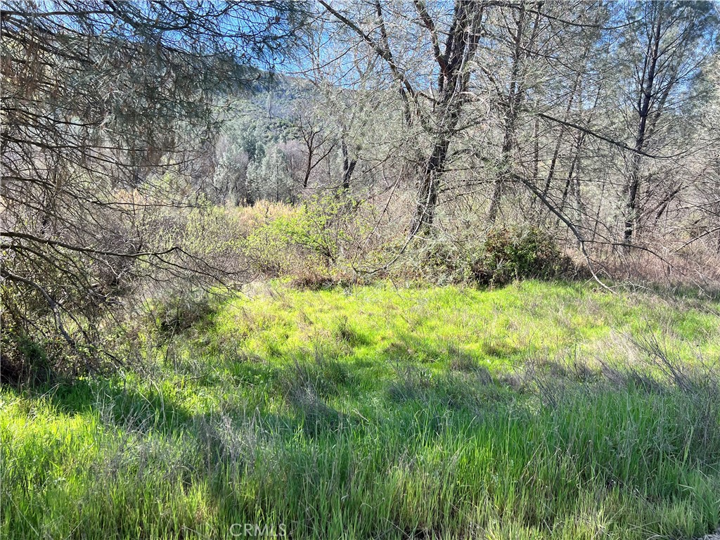 2286 New Long Valley Road Clearlake Oaks, CA 95423 - Photo 9 of 27 a view of yard next to a building