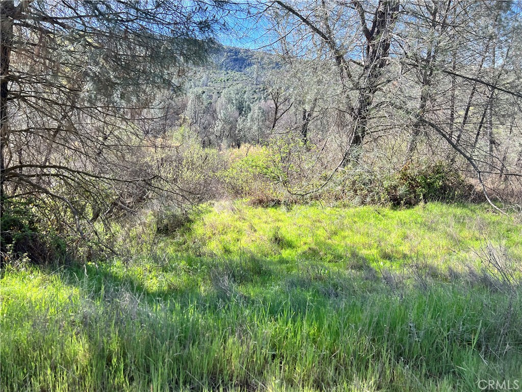 2286 New Long Valley Road Clearlake Oaks, CA 95423 - Photo 10 of 27 a view of yard with green space
