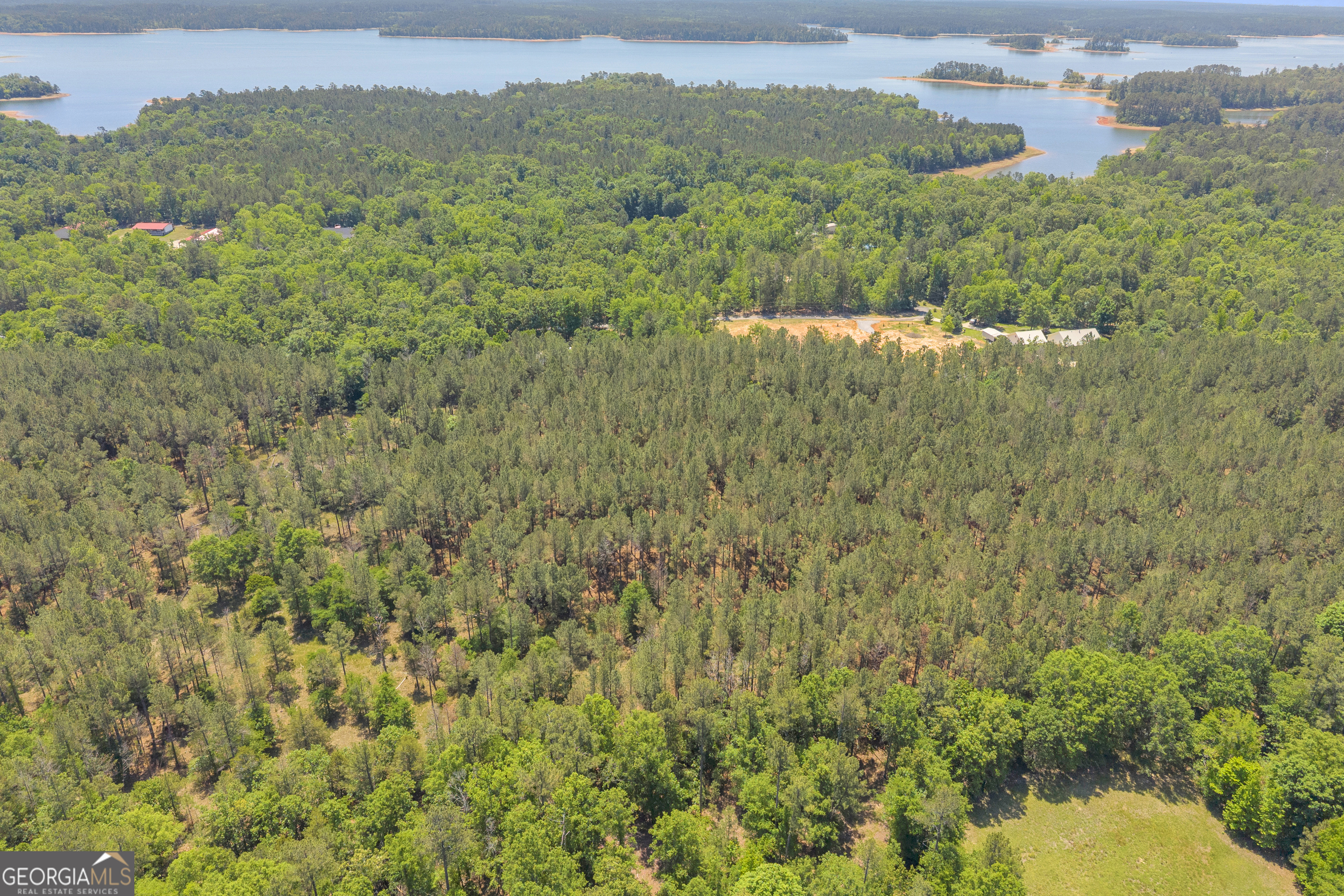 0 Hidden Harbor Road Lincolnton, GA 30817 - Photo 39 of 58
