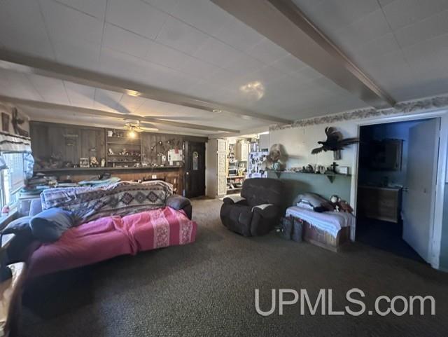 5021 Loon Lake Road Florence, WI 54121 - Photo 10 of 22 Gallery Image 10