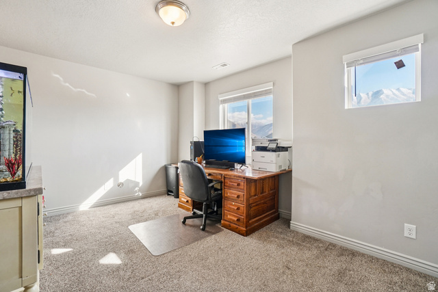 203 North 1900th Street West Mapleton, UT 84664 - Photo 14 of 48 Carpeted room with light gray walls, white trim, and two windows