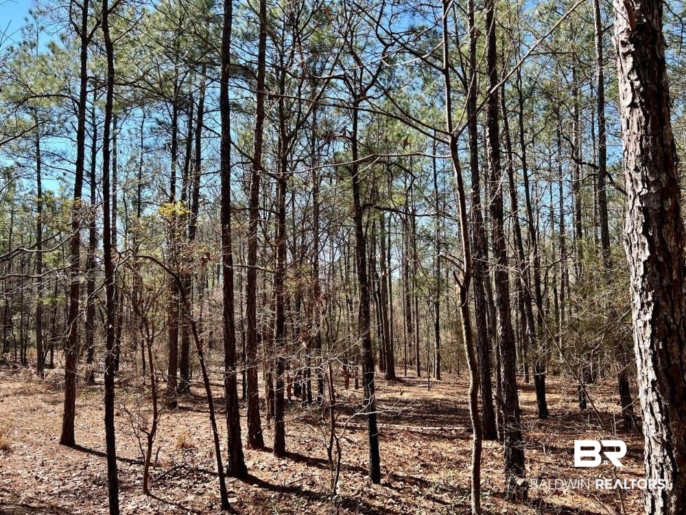 0 Country Road Deer Park, AL 36529 - Photo 33 of 46