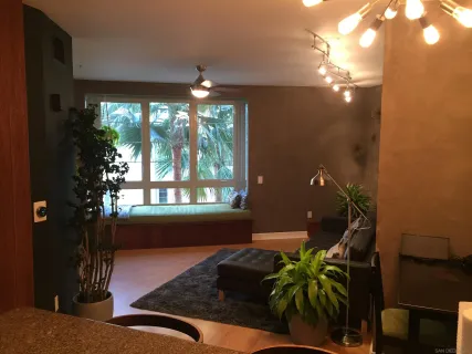 a living room with furniture and a potted plant