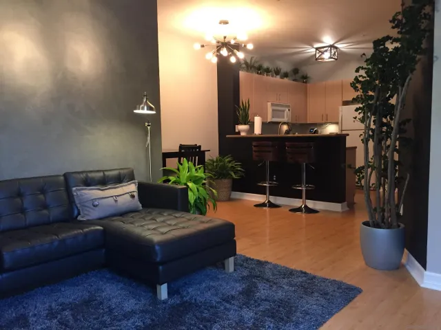 a living room with furniture a chandelier and a fireplace