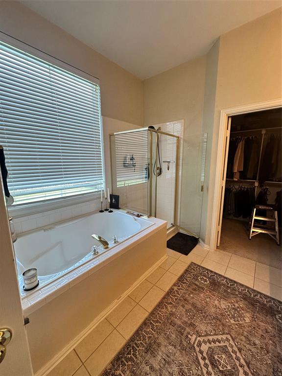 2450 Streamside Court Frisco, TX 75036 - Photo 18 of 28 a bathroom with a tub and a sink