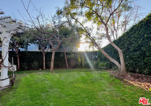 a view of a backyard with large trees