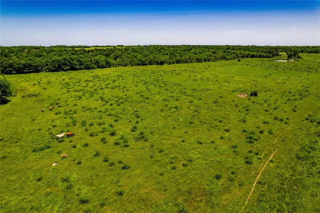 a view of a back yard