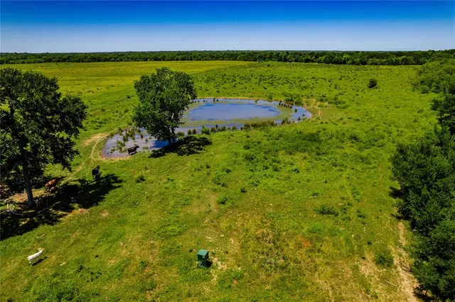 a view of an ocean from a yard