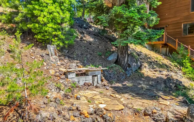 a view of a yard with plants and large trees
