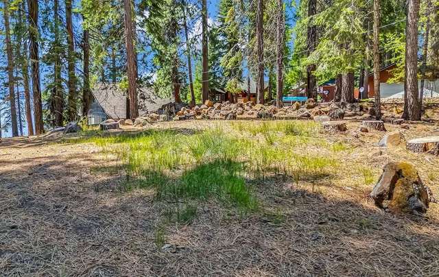 a view of swimming pool with a yard and trees
