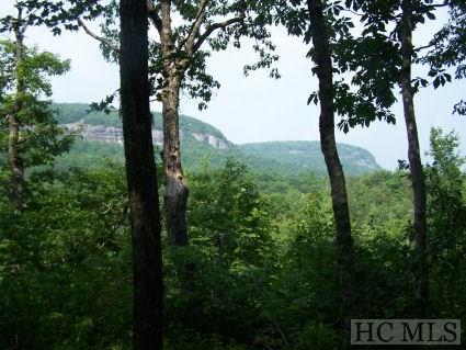Lot 2 Panthertown Rd Lake Sapphire, NC 28774 - Photo 2 of 11 Gallery Image 2