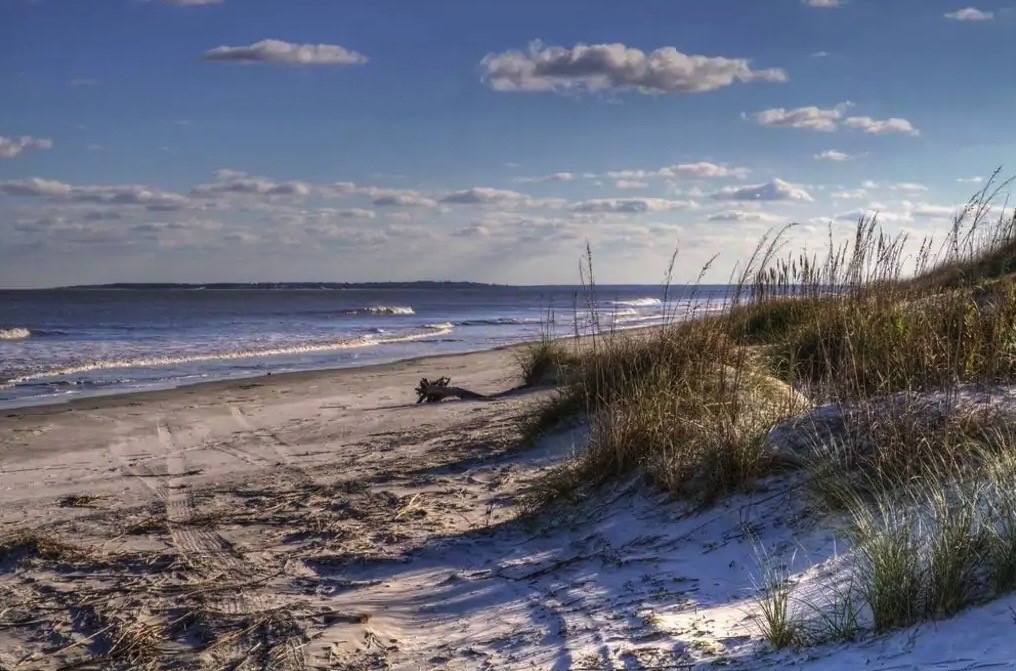323 Palm Street St. Simons Island, GA 31522 - Photo 12 of 13