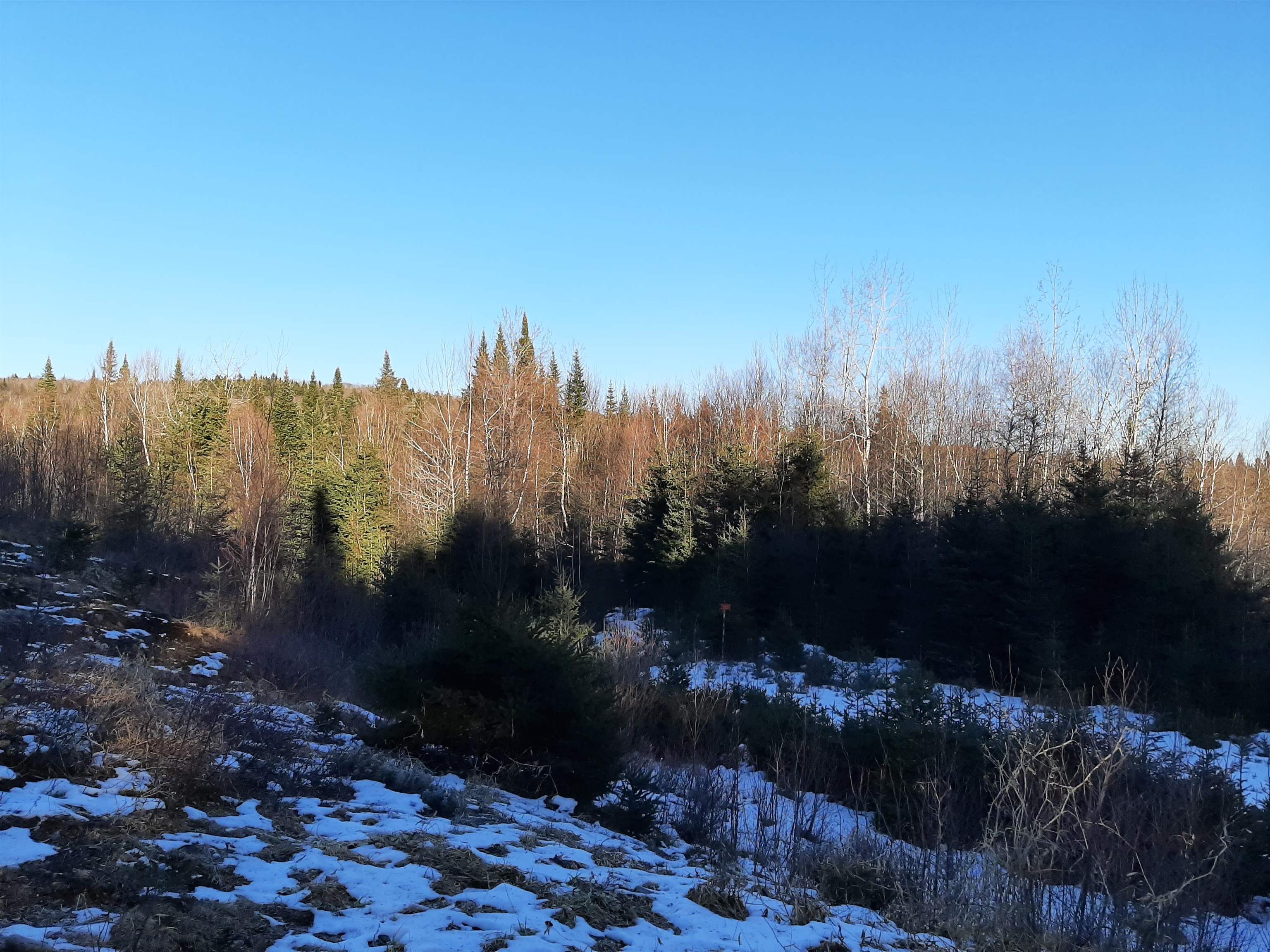 - Arthur Scott Road Pittsburg, NH 03592 - Photo 3 of 10