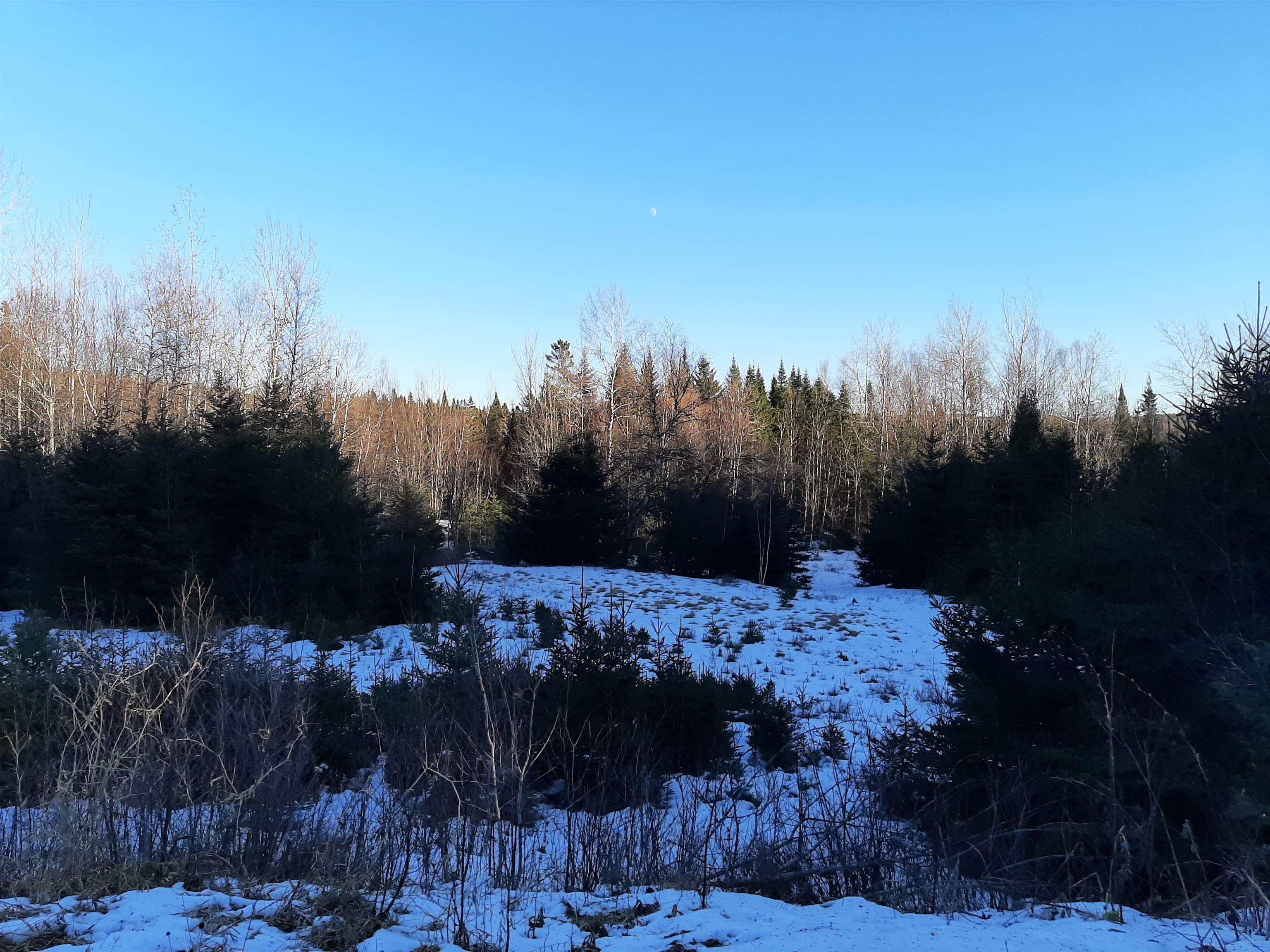 - Arthur Scott Road Pittsburg, NH 03592 - Photo 4 of 10