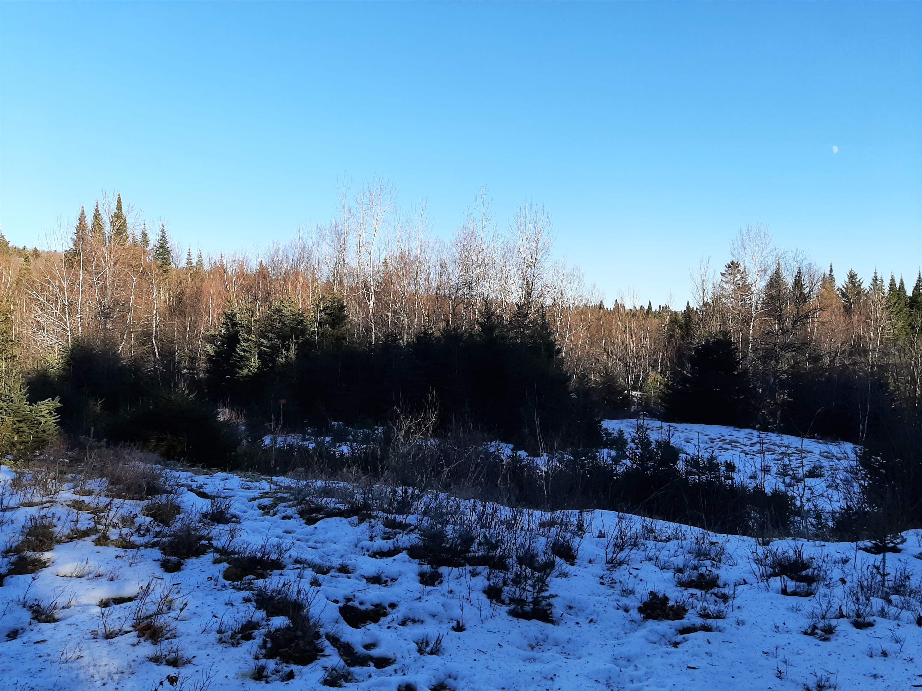 - Arthur Scott Road Pittsburg, NH 03592 - Photo 5 of 10