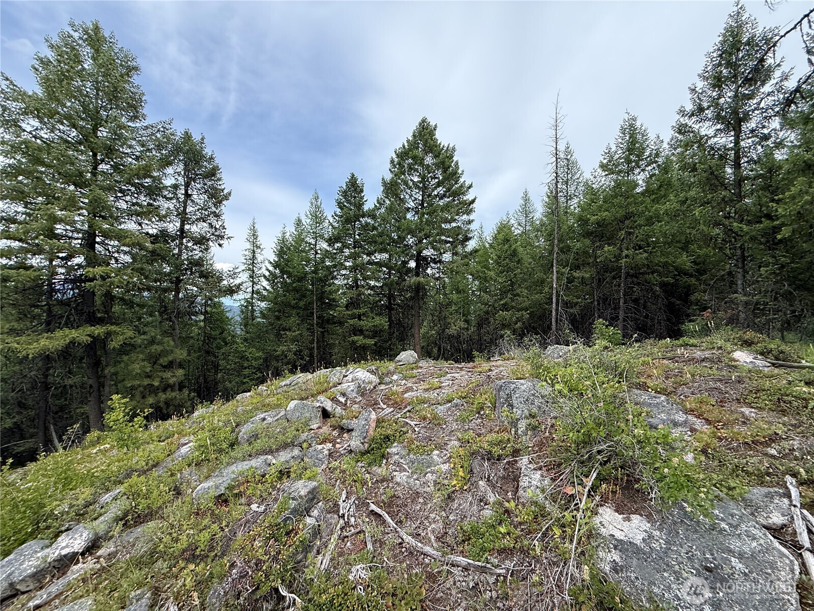 0 Mule Deer Road Republic, WA 99166 - Photo 12 of 20