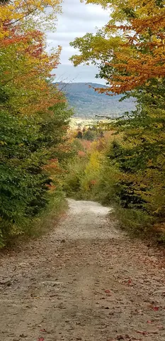 $175,000 | 166 Lamb Road, Carthage, ME 04224