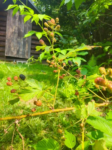 $175,000 | 166 Lamb Road, Carthage, ME 04224